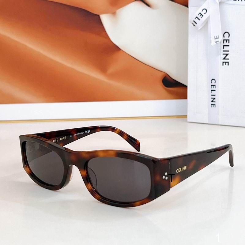 Celine Sunglasses ID:20250816-171